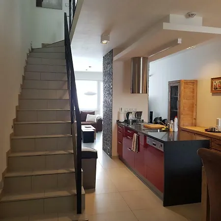 G.apartment's Klinovec 公寓 Loučná pod Klínovcem